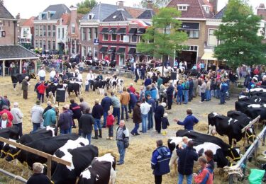 Foto bij het artikel: "Veekeuring September"