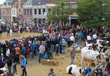 Foto bij het artikel: "Voor Keuringsdei valt het doek"