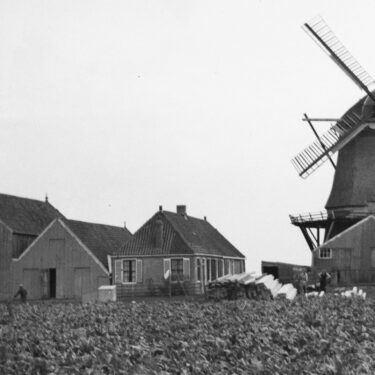 Afbeelding van "De Fekkes Molen"