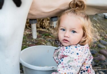 Foto bij het artikel: "Een klein beetje Veekeuring"