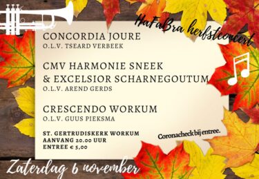 Foto bij het artikel: "Herfstconcert Crescendo"