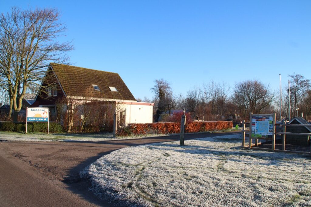 Gun de kerstbomen nog een tweede leven