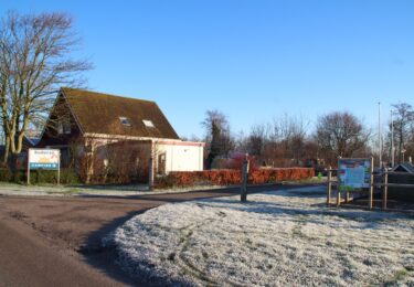 Foto bij het artikel: "Gun de kerstbomen nog een tweede leven"