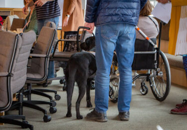 Foto bij het artikel: "Inclusie in Súdwest-Fryslân: een wereld zonder drempels"