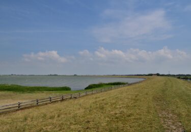 Foto bij het artikel: "Herstel Friese IJsselmeerkust"