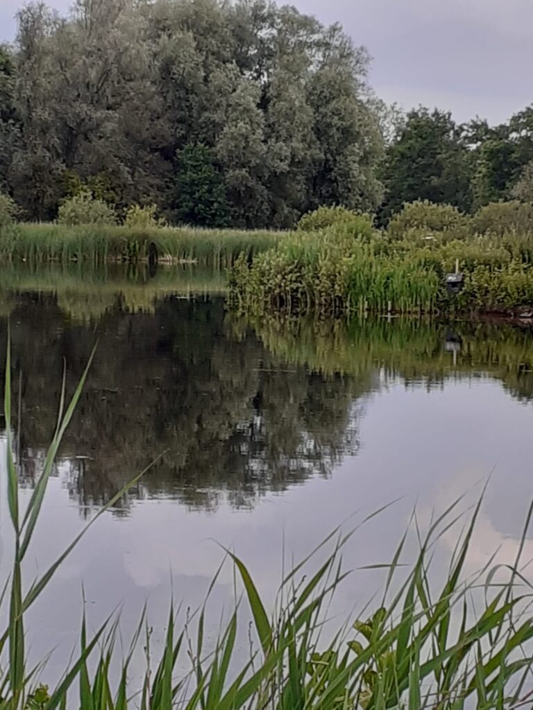 Met IVN wandelen in het SBB-natuurgebied De Twigen