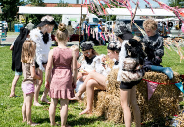 Foto bij het artikel: "Weidevogel Festival"