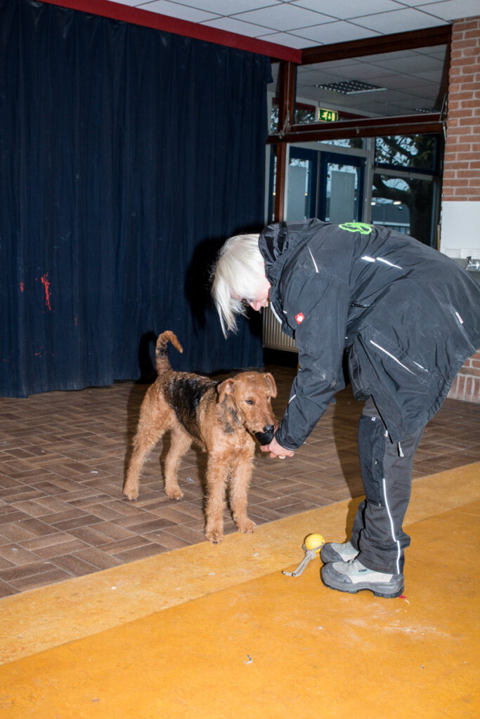 Training voor honden als redders van mensen
