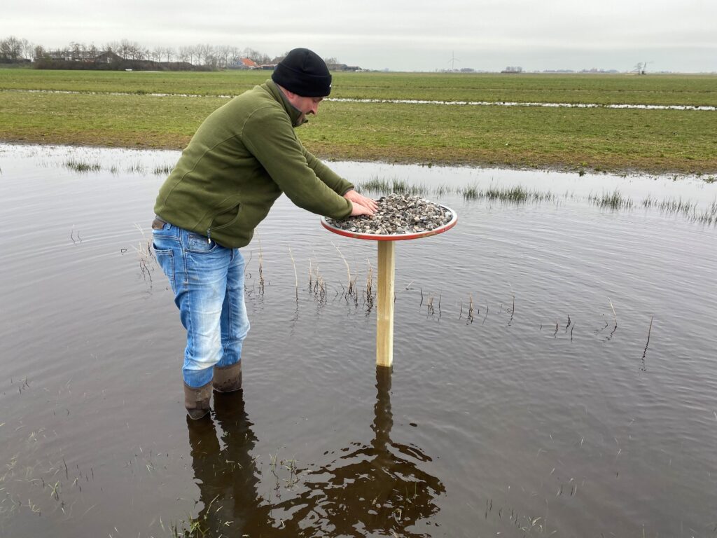 Scholeksters broeden op verkeersborden gemeente Súdwest-Fryslân