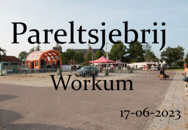 Foto bij het artikel: "Pareltsjebrij"