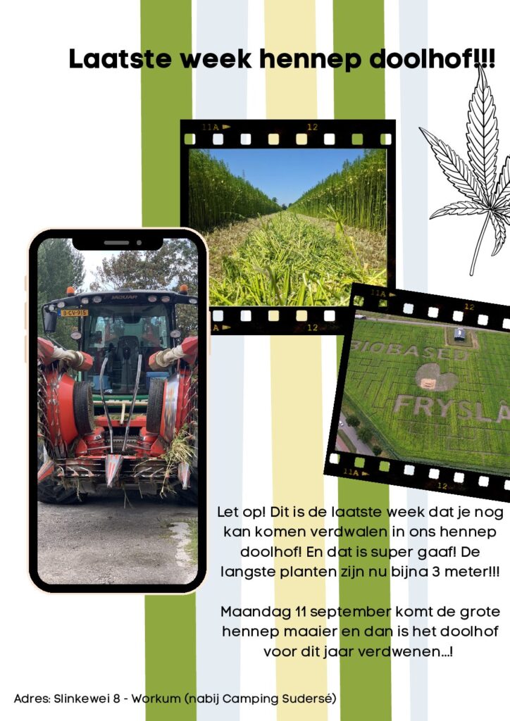 Nog 1 weekje hennep doolhof