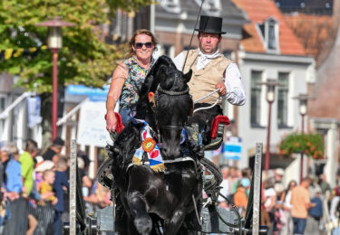 Foto bij het artikel: "Concours Hippique"