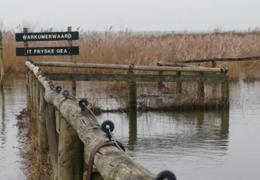 Foto bij het artikel: "Hoog water in Workum"