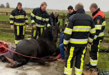 Foto bij het artikel: "Brandweer Workum helpt Friezin ‘Wardy’ (23) weer op de been"