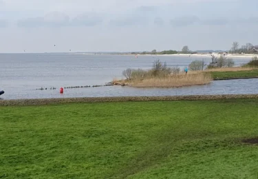 Foto bij het artikel: "Grootschalige controle in natuurgebieden in zuidwesten van Fryslân "