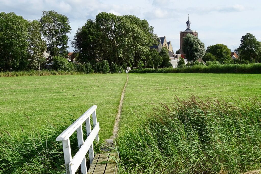 Ontdek het weidevogelgebied in Súdwest-Fryslân