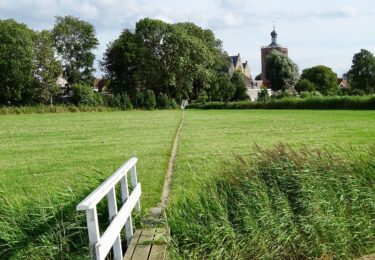 Foto bij het artikel: "Ontdek het weidevogelgebied in Súdwest-Fryslân"