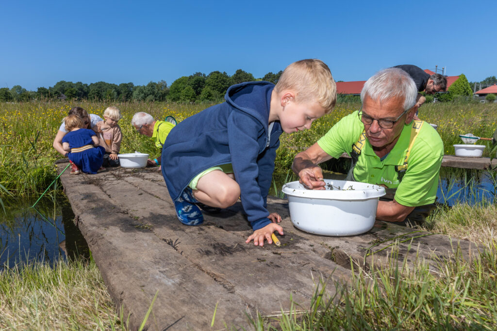 Zoeken met IVN naar bootsmannetjes en andere waterdiertjes 14 en 15 juni a.s.