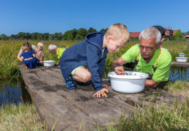 Foto bij het artikel: "Zoeken met IVN naar bootsmannetjes en andere waterdiertjes 14 en 15 juni a.s."