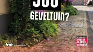 Foto bij het artikel: "Geveltuinen Súdwest-Fryslân"