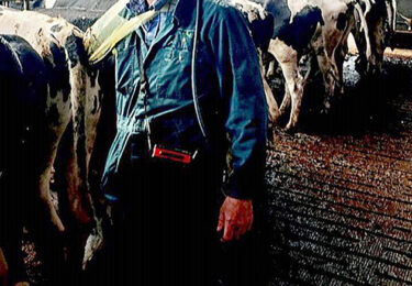 Foto bij het artikel: "Veearts Atze de Vries met pensioen"