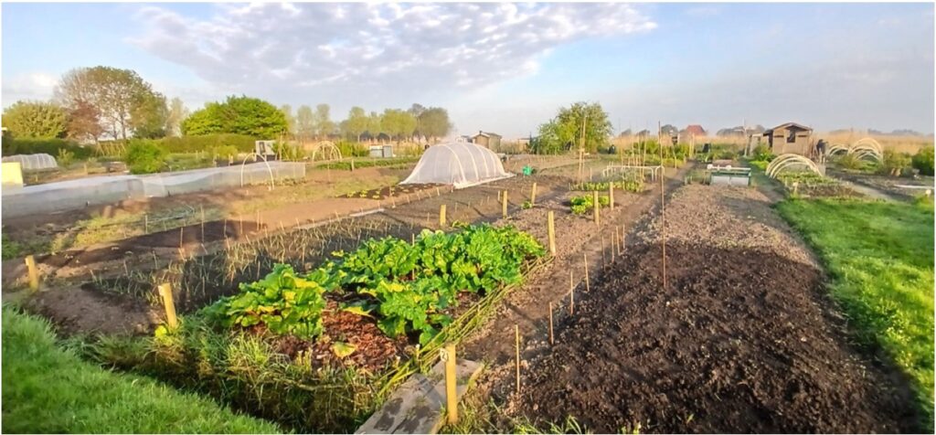 Open Dag Tuindersvereniging