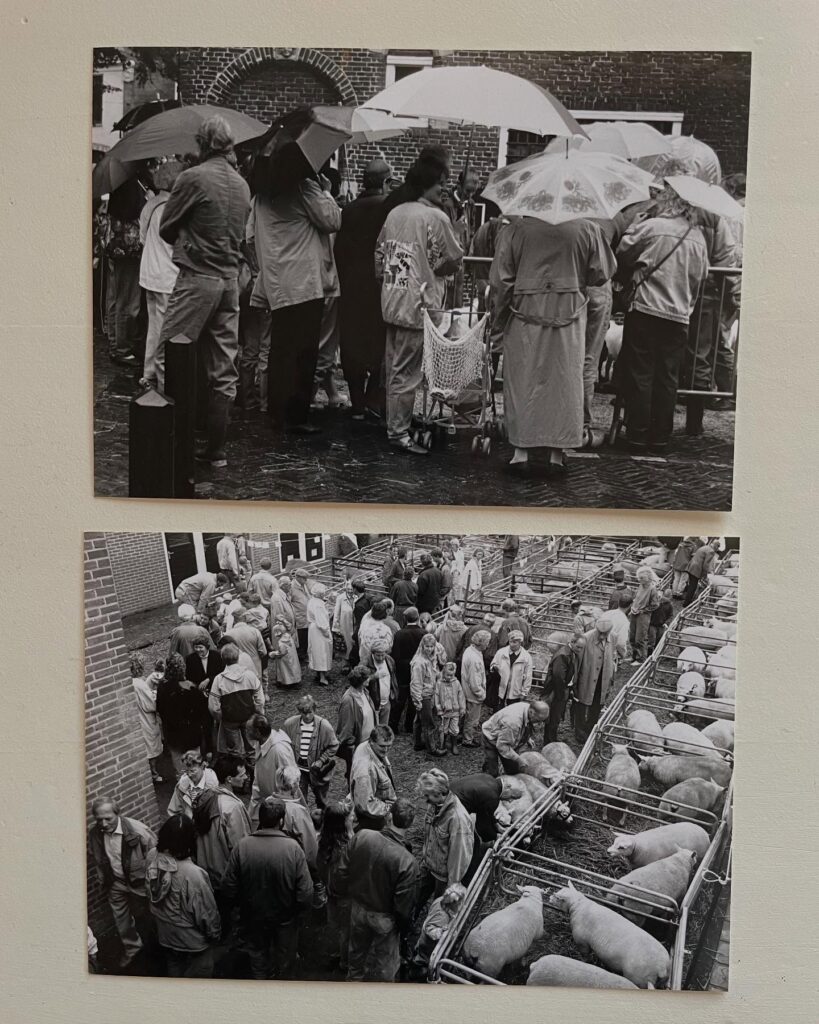 Help ons 125 jaar Veekeuring Workum tot leven brengen!