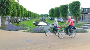 Foto bij het artikel: "Inwoners Súdwest-Fryslân kunnen bomen aanmelden voor speciaal register"