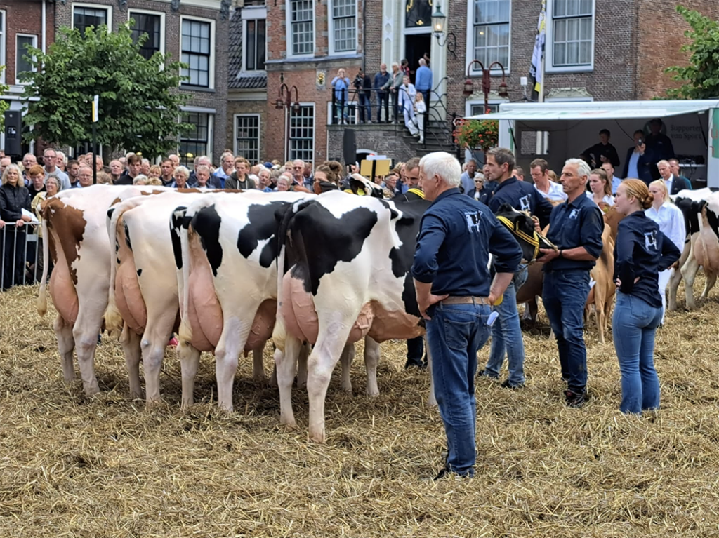 Veekeuringsdag Workum (Kokedei)