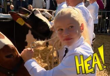 Foto bij het artikel: "Workum viert de 125e Kokedei met prachtig weer en een hoog niveau bij de kalveren-Hea"