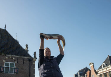 Foto bij het artikel: "Visafslag Merk Workum 2025"