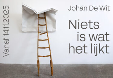 Foto bij het artikel: "Vlaamse kunstenaar Johan de Wit voor het eerst groots te zien in Nederland"