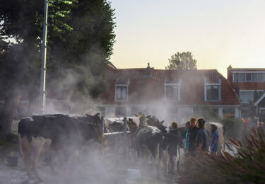 Foto bij het artikel: "De 125ste Kokedei"