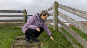 Foto bij het artikel: "Vogelaar Janneke Vorst uit Piaam ziet ze vliegen: “Ik ben een geluksvogel”"