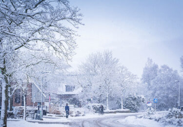 Foto bij het artikel: "Workum bedekt onder laag sneeuw"