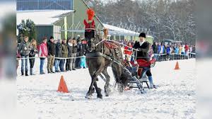Foto bij het artikel: "Magisch beljeien zaterdag bij Manege Gaasterland"