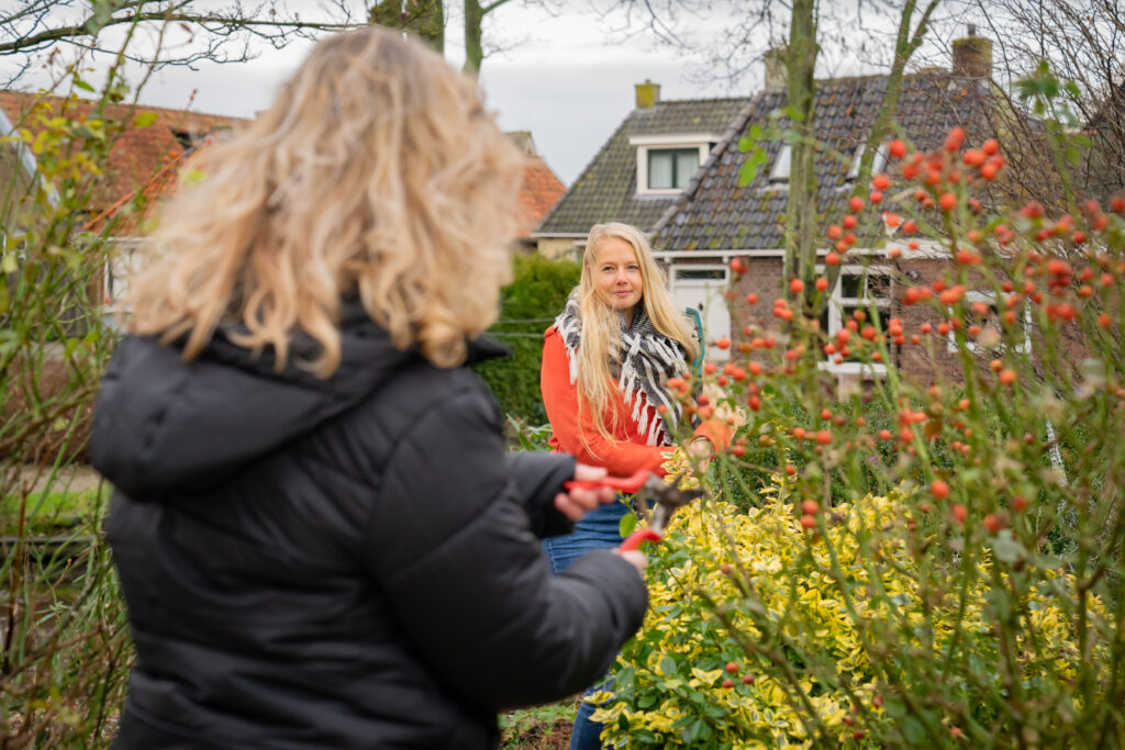 Tuin vergroenen? Boom erbij van de gemeente