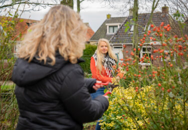 Foto bij het artikel: "Tuin vergroenen? Boom erbij van de gemeente"