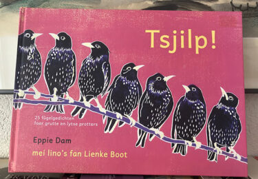 Foto bij het artikel: "Fjirde printinge “TSJILP”"