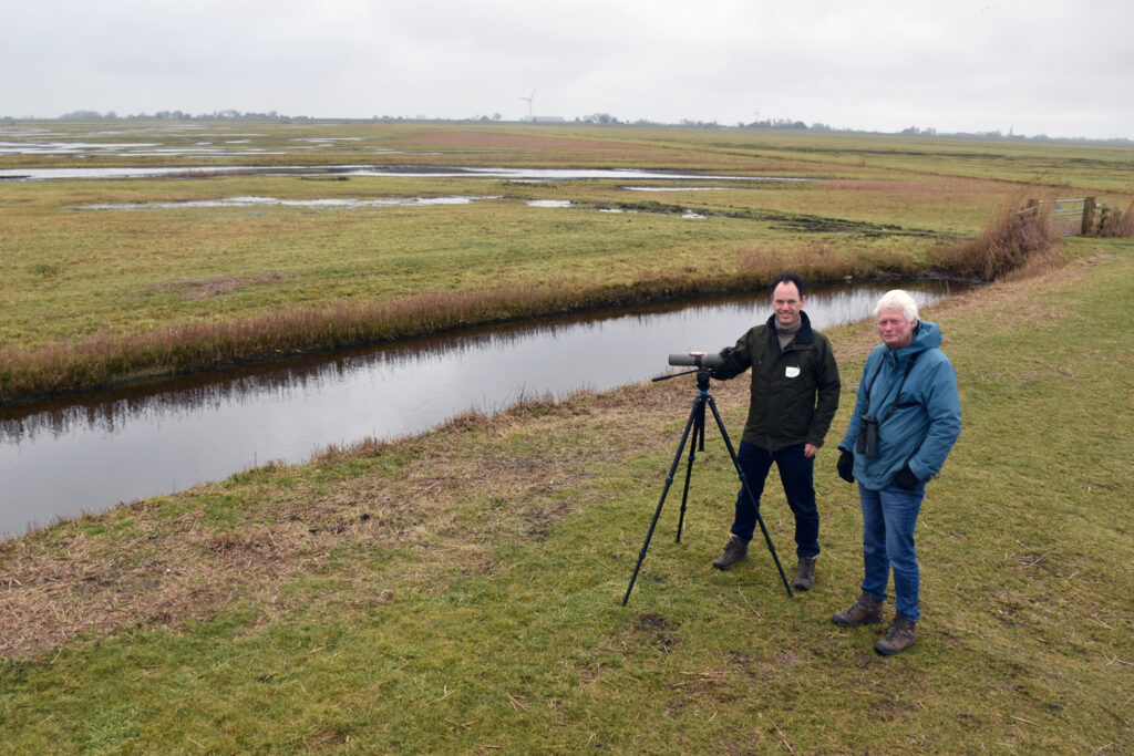 Meer ruimte voor weidevogels in de Workumerwaard