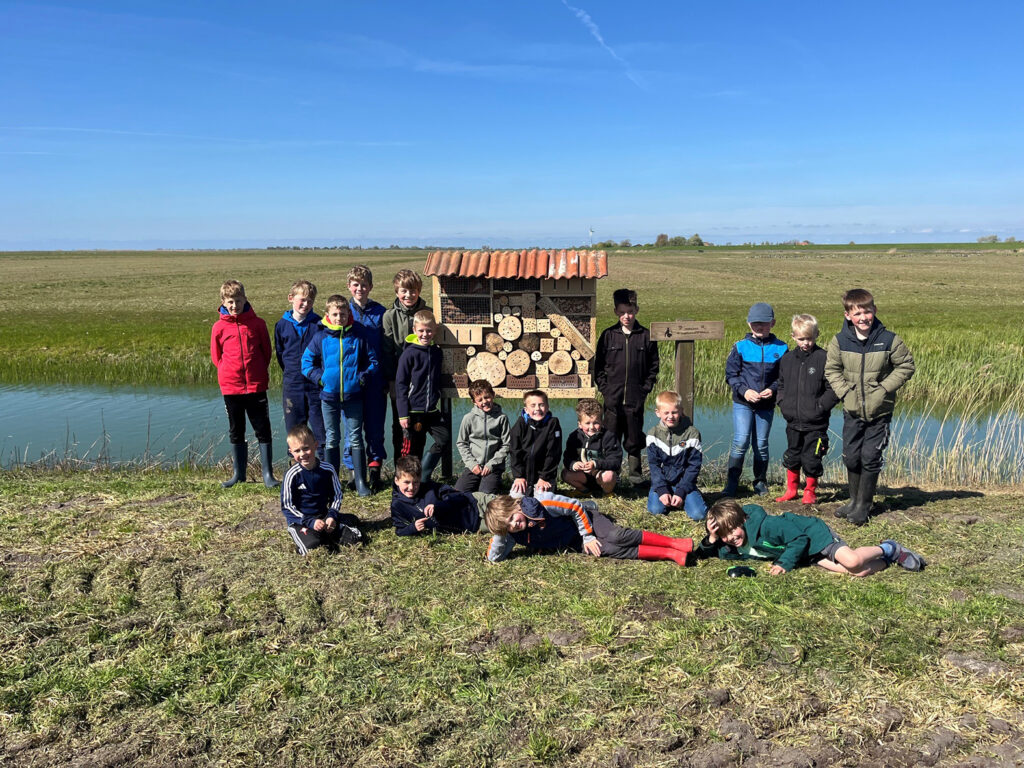 Insectenhotel onthuld in de Workumerwaard
