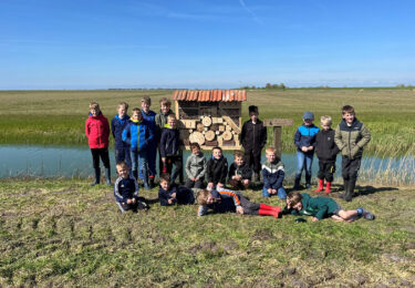 Foto bij het artikel: "Insectenhotel onthuld in de Workumerwaard"