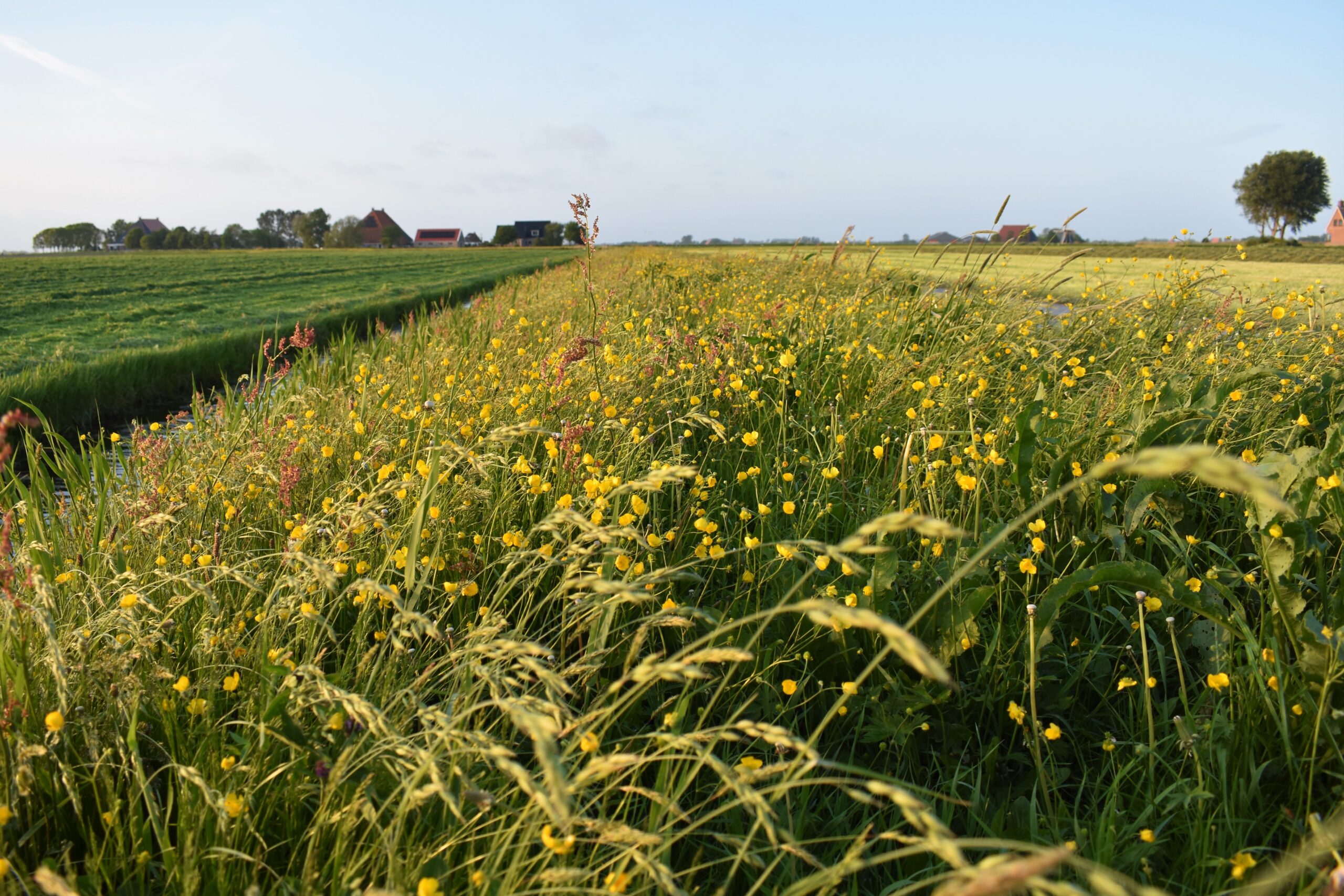 Op pad over het Tillefonnepad: Excursie door het Nationaal Landschap Zuidwest Fryslân