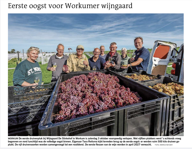 Eerste pluk